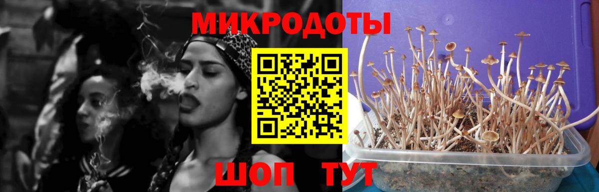 Ливны  Псилоцибиновые грибы GOLDEN TEACHER  Галлюциногенные грибы ЛСД  Вход с VPN 